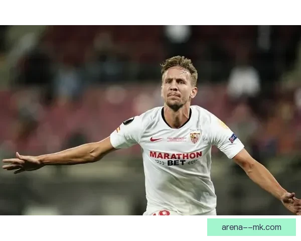 吕克德容正式告别荷兰国家队结束辉煌国际生涯